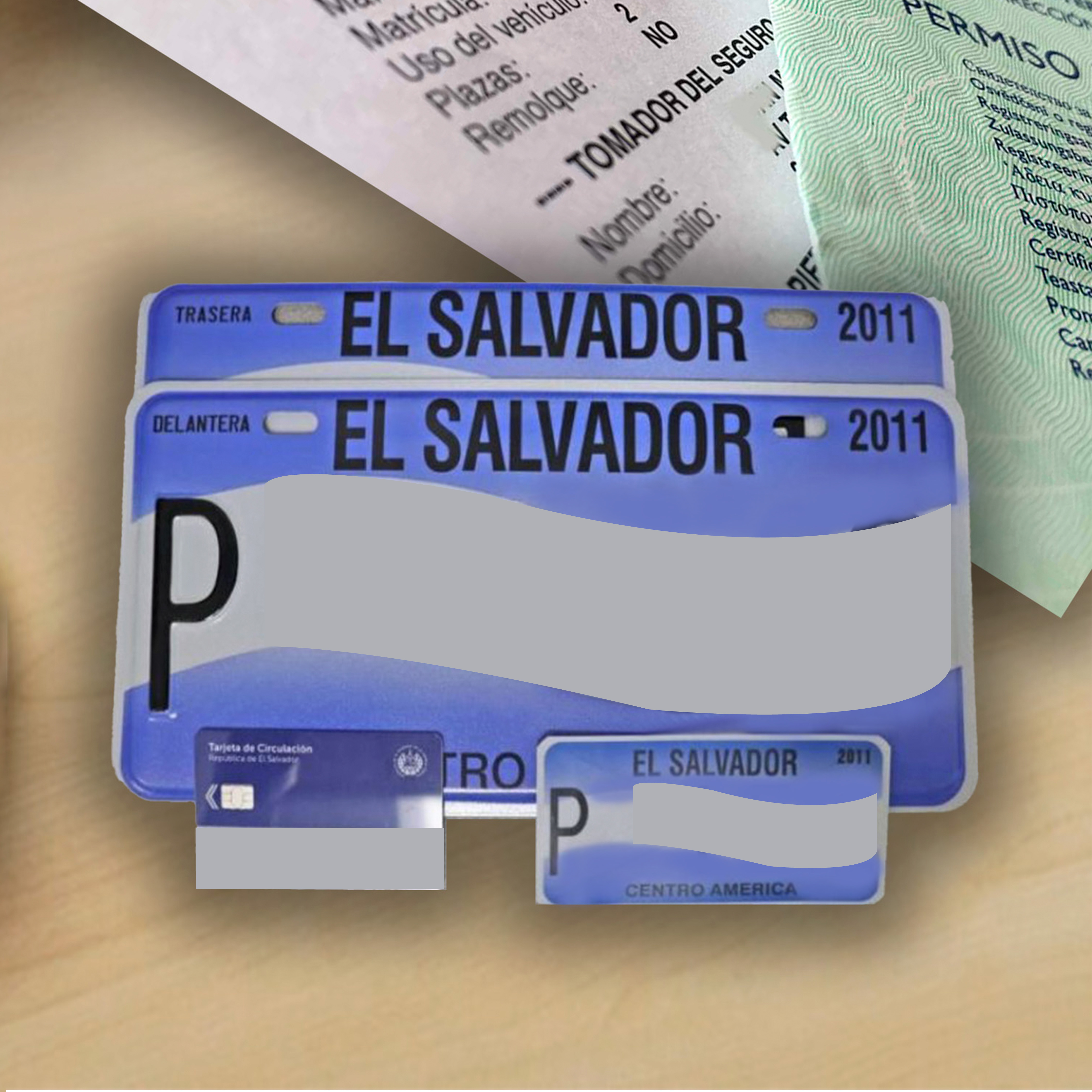 Reposición de placas por robo